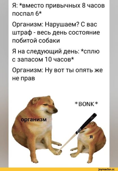 Состояние побитой собаки мес