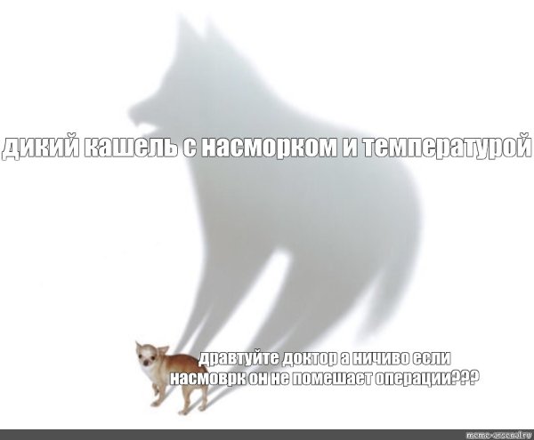 Расплывчатый Мем