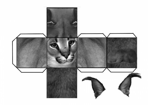 Модели животных из бумаги