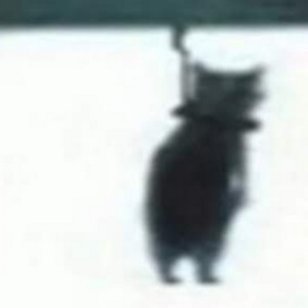 Котенок повесился