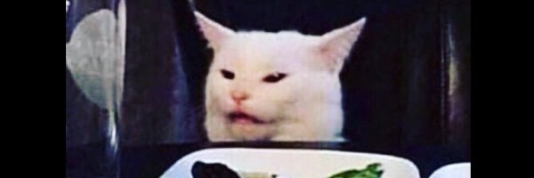 Мем с котом за столом