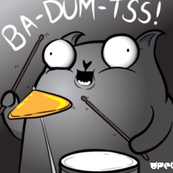 Кот играет на барабанах Мем