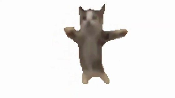 Котик танцует гиф