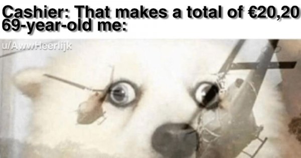 Собака вьетнамские флешбеки