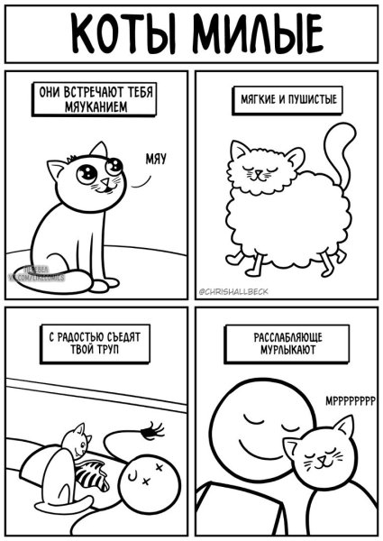 Милый коты мемы