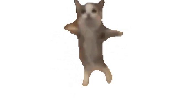 Танцующий кот