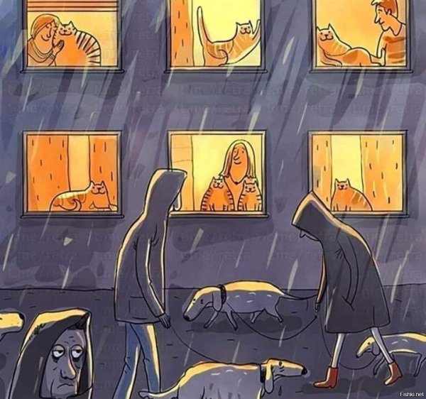 Про прогулку с собакой