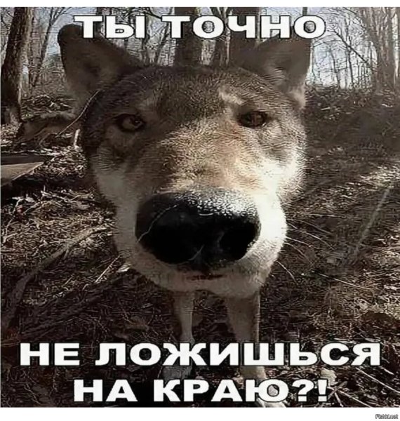 А ты точно не ложишься на бочок