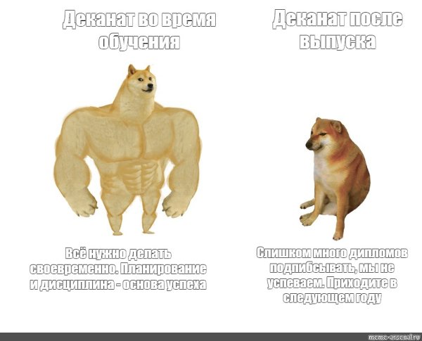 Мем с собаками сильная и слабая