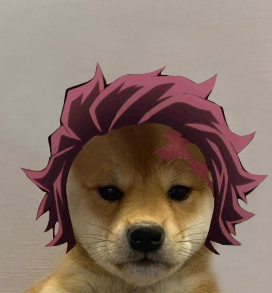 Dogwifhat Jojo