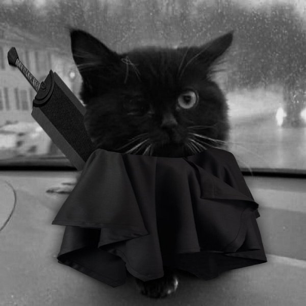 Котик в костюме