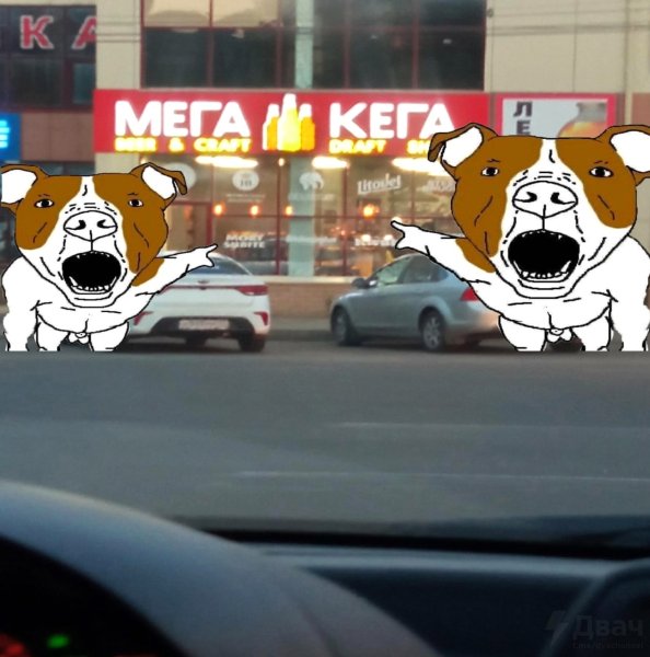 Собака из мема кега