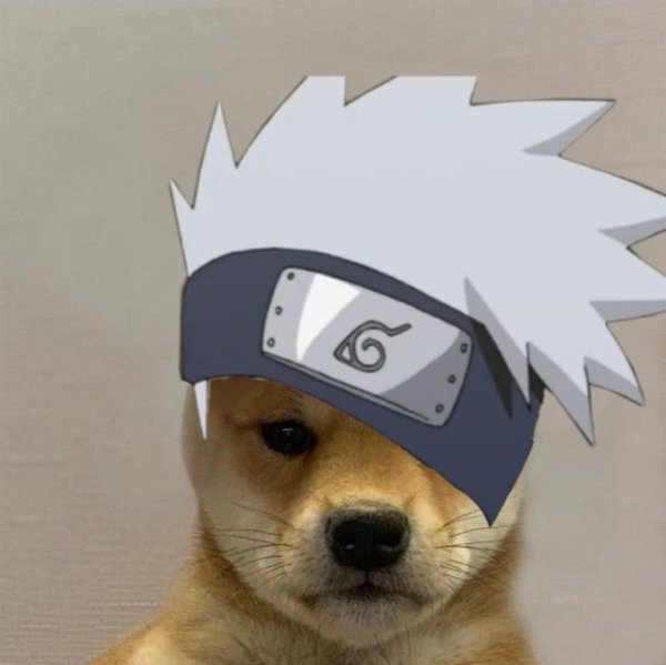 Шапка 'собака'