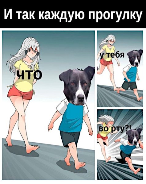 Что у тебя во рту Мем с собакой