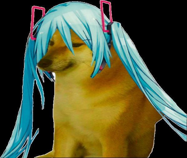 Мику собака