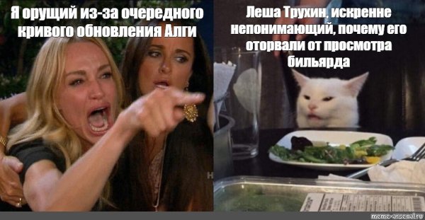 Мем с женщиной и котом