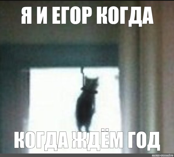 Мышь в петле