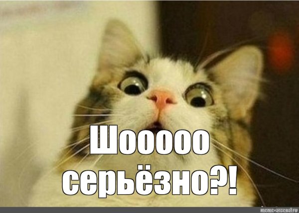 Кот Мем