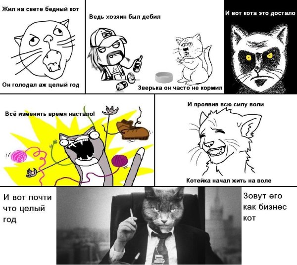 Коты Воители мемы