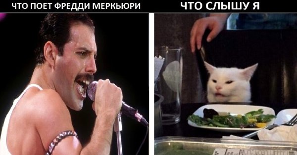 Фредди Меркьюри Мем