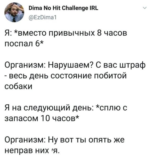 С вас штраф состояние побитой собаки