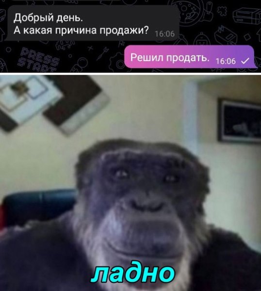 Аргументный аргумент собака мы расстаемся