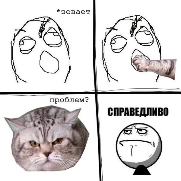Мемы приколы