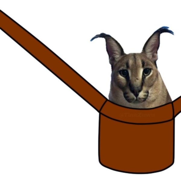 T Shirt для РОБЛОКС кот в сумке