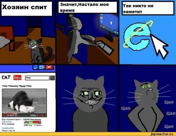 Коты мемы с надписями без матов