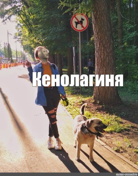 Три собаки Мем