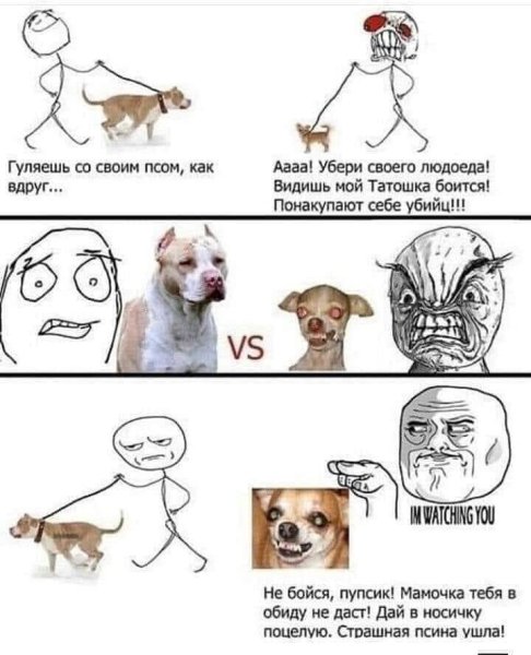 Мемы с собаками