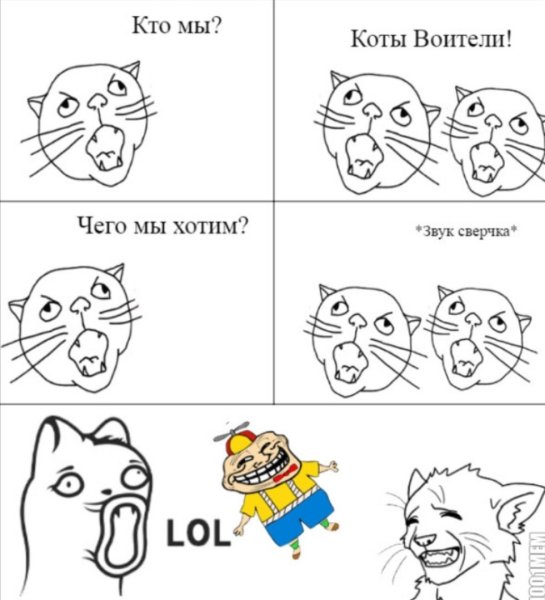 Мемы про котов воителей