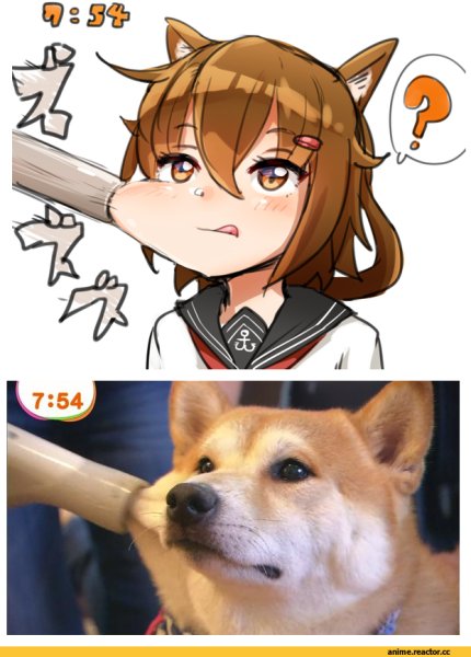 Тян собачка