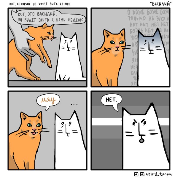 Кошачьи комиксы