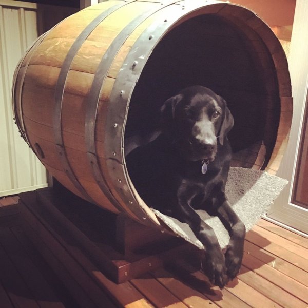 Домик для собаки из бочки