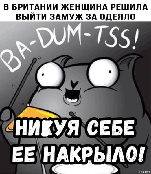 Стендап кот