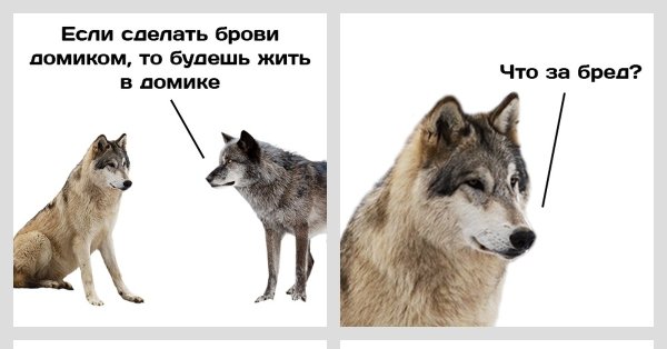 Волк Мем