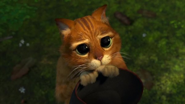 Кот в сапогах Шрек 2