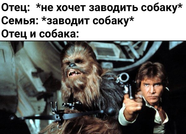 Семья заводит собаку Мем