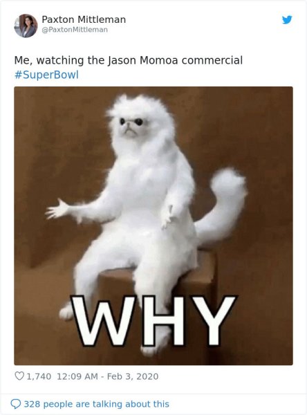 Чучело белого кота