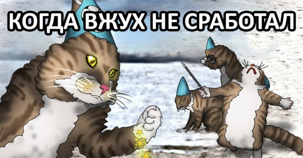 Котик вжух