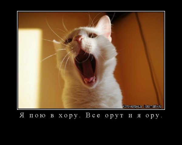 Смешно поет