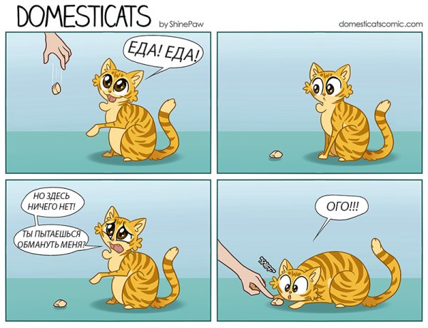 Смешные комиксы с животными