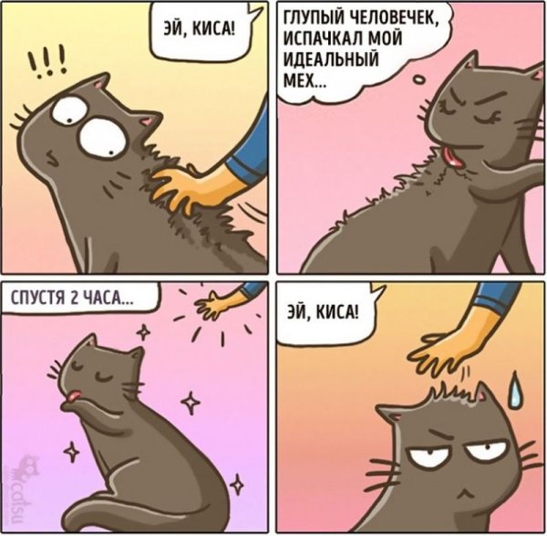 Комикс про кота