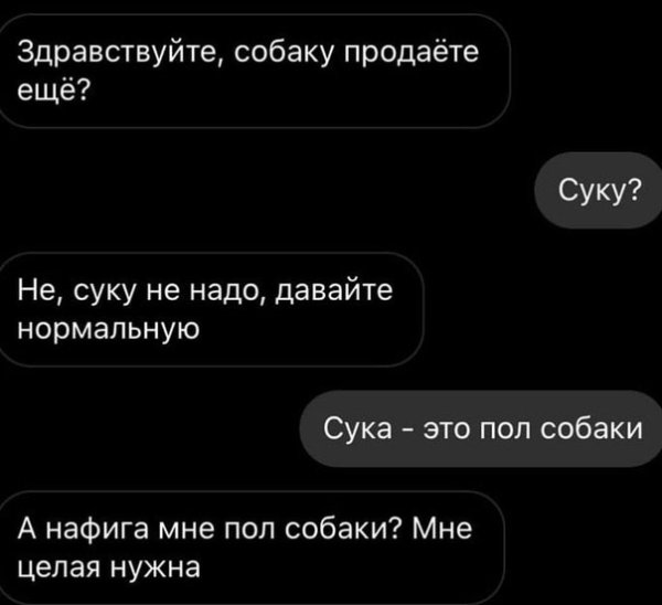 Здравствуйте собаку продаете еще суку