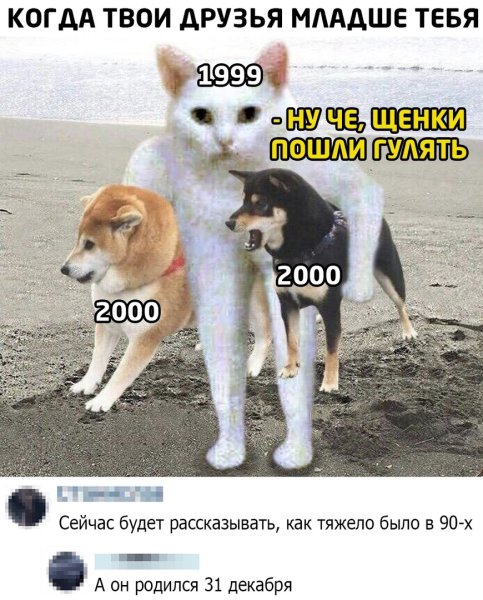 Собирайтесь собачки мы уходим