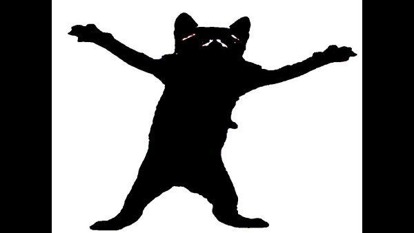 Котик флексит