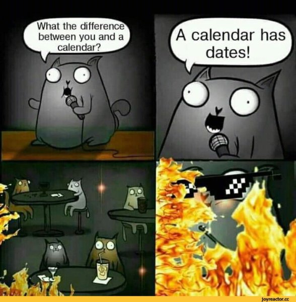 Кот стендапер