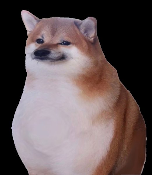 Мем с собакой сиба ину