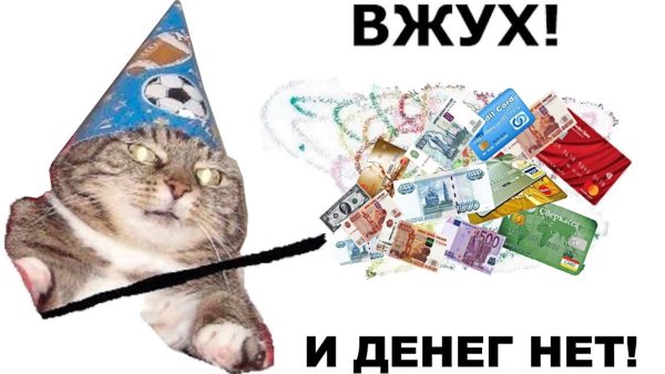 Мемы с котами про деньги